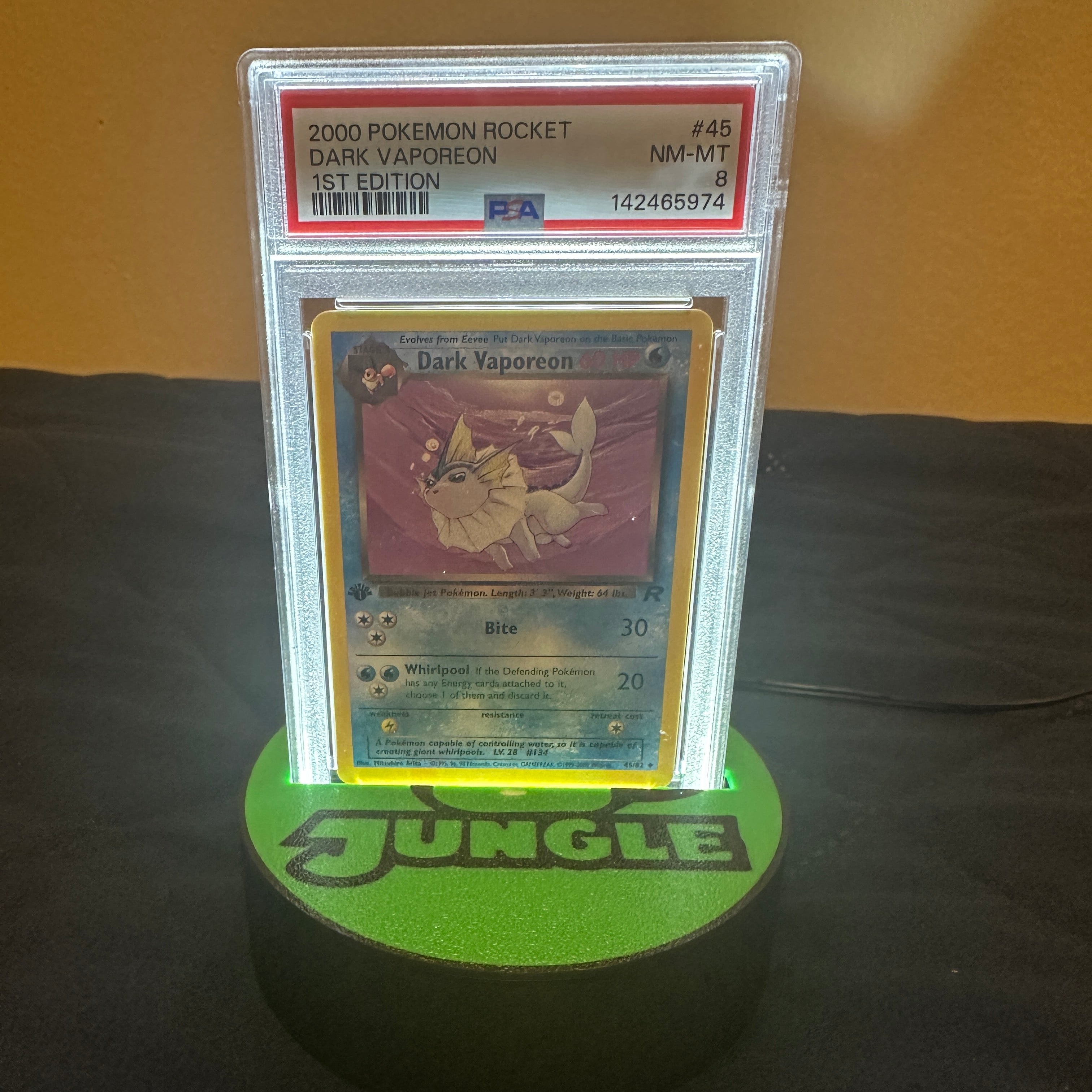 Jungle Set - Pokemon