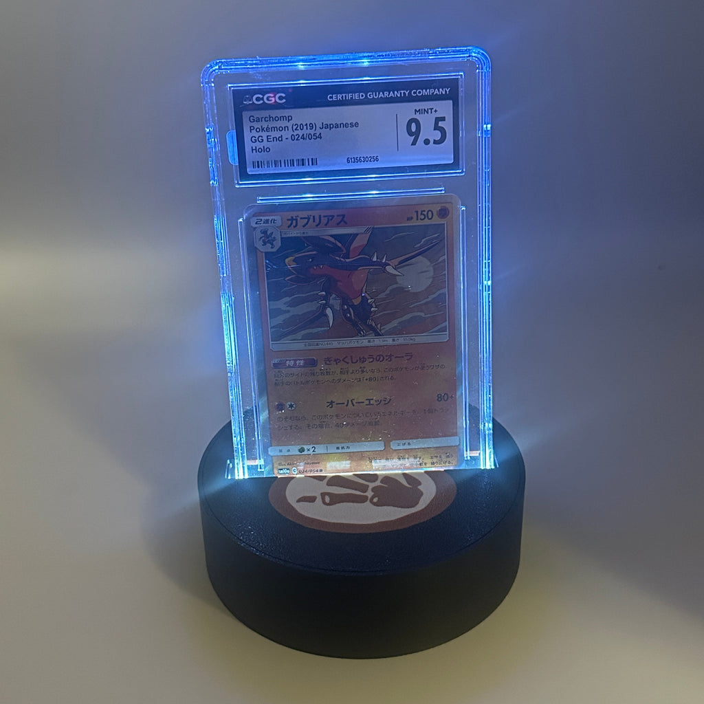 Fossil Slablyte - Graded Card Display