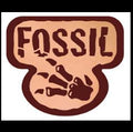 Fossil Set - Pokemon