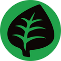 Grass Energy - Pokemon